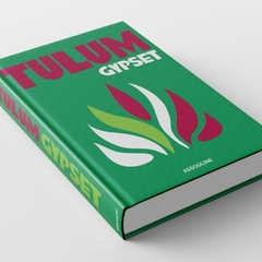 Livro Caixa Tulum