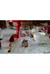 Cj. Taça Bubble Âmbar - Casa Vicente • Decoração e Mesa Posta
