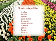 Esencias puras p/cosmética, capilares , jabones y ambientadores 100ml - comprar online