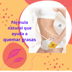 Kit Reductor intenso - Reductora 1kg + Criógeno 1kg - comprar online