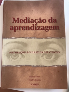 MEIER, Marcos; GARCIA, Sandra. Mediação da aprendizagem