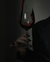VINHO TINTO MEFISTÓFELES RED BLEND na internet