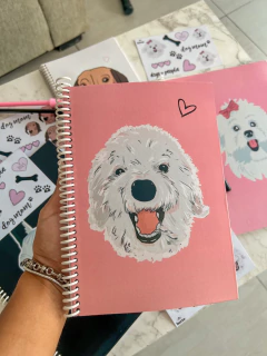 Cuaderno A4 en internet