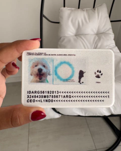 DNI on internet