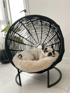 Cama Barto
