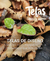 Carrusel TELAS COMARCA ANDINA