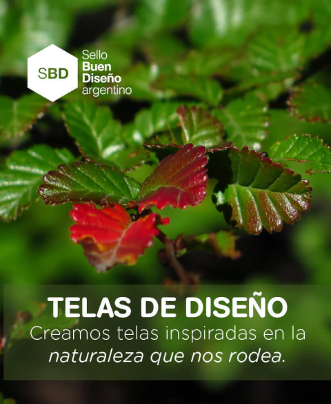Carrusel TELAS COMARCA ANDINA