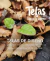 Carrusel TELAS COMARCA ANDINA