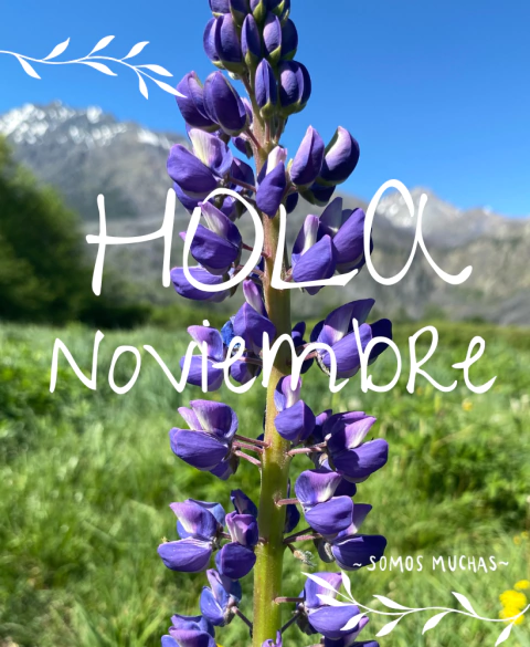 Carrusel TELAS COMARCA ANDINA