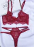 Conjunto Clara em renda chantilly com Detalhe em tule na calcinha - vermelho