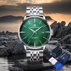 Pagani Design Pd-2770 (Plateado con Verde) Automatico en internet