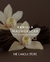 Difusor de Varetas Vanilla Madagascar 200ml - The Candle Store | Velas Aromáticas, Home Sprays e Difusores de Ambientes