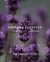 Difusor de Varetas Lavanda Francesa 200ml - The Candle Store | Velas Aromáticas, Home Sprays e Difusores de Ambientes