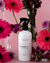 Home Spray Champagne Rose 250ml