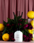 Difusor de Varetas Pink Lemonade 200ml na internet