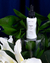 Essência Concentrada Maresia Salt 30ml