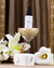 Essência Concentrada Vanilla Madagascar 30ml na internet