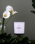 Vela Perfumada Lemongrass Intense 200g