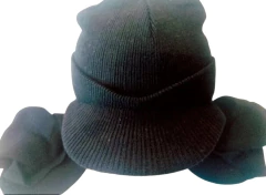 Gorro de lana con vicera doble en internet