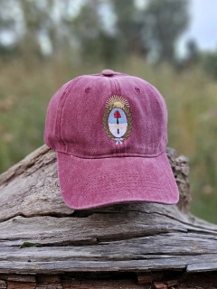GORRA DENIM GASTADA ESCUDO NACIONAL (elegir color) - comprar online