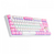 TECLADO MECÂNICO GAMER REDRAGON DAKSA RAINBOW SWITCH BROWN - BRANCO - K576WP-R - comprar online