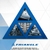 215 60 R17 TR259 TRIANGLE - tienda online