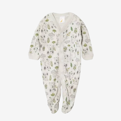 Entero Koala - comprar online
