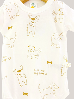 Body DOGUI en internet