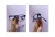 Glox | Clip-on 2350 c3 - OPTICA LAZZARINI