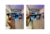 Glox | Clip-on 2582 c1 en internet