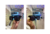 Glox | Clip-on 2582 c1 - comprar online