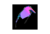 100% 60007-00020 / Speedcraft® - Peter Sagan LE Soft Tact Tie Dye - Purple Multilayer Mi - comprar online