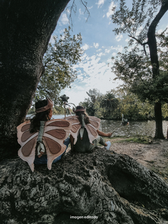 Disfraz de MARIPOSA - HADA - somosfena