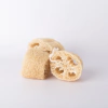 ESPONJA VEGETAL - KIT 3 UNIDADES - comprar online