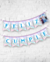 BANDERIN TRADICIONAL - comprar online