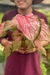 Caladium Hídrido sem ID New Hope by Nativa - comprar online