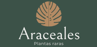 Araceales