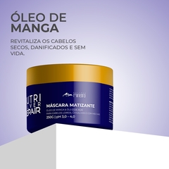 Máscara Matizadora Barroco Mineiro Nutri Silver Repair 250g - loja online
