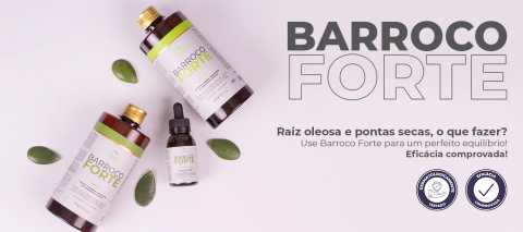 Carrusel Barroco Mineiro Profissional