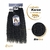 Cabelo Tela Karen African Beauty Bio Fibra 80cm Cacheado metodo entrelace - comprar online