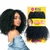 Cabelo Modelo Ametista Método Crochet Braid Fibra Orgânic Premium 80Cm Black Beauty