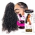 Kit Rabo De Cavalo Bio Fibra Nicola + Gel Modelador 70Gr + Escova Baby Hair