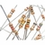 Rcar10M-0.5W