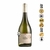 Luar do Pampa Sauvignon Blanc 2022