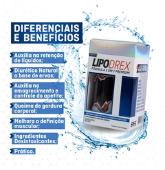 Lipodrex - Kit 3 Potes na internet