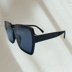 Sunglasses RayBanishers en internet