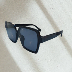 Sunglasses RayBanishers - BELIEVE