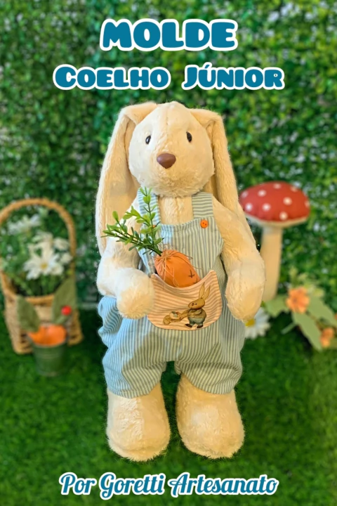 Molde Coelho Júnior