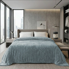 Frazada Flannel Super Soft Paris 2 1/2 Plaza - comprar online