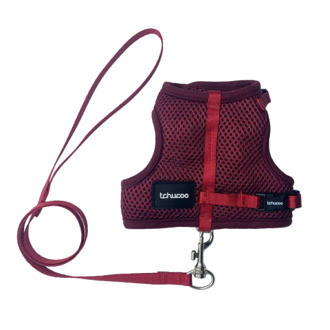 CONJUNTO AIR MESH BORDÔ GATO